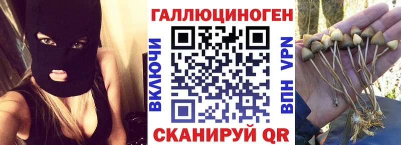Псилоцибиновые грибы прущие грибы  маркетплейс как зайти  Звенигово  купить наркотик 